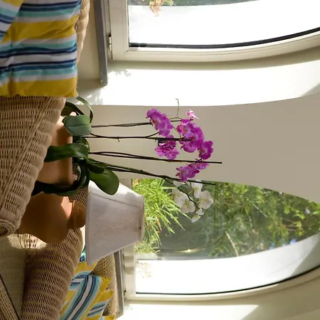 Park Terme Ίσκια