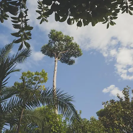 Park Terme Ίσκια